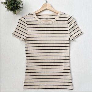 Gap Rib Stripe Crewneck Tee in Anchorage Cream